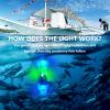 LED Underwater Fishing Light, 2PCS Deep Drop LED Light Attractants, IP68 Waterproof Flashing Attractive Bait Lure Lamp,4000+ Hours Lifespan view 4