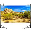 Desert Reptile Tank Background Barrel Cacti at Boulders Terrarium Background Desert Landscape Reptile Terrarium Background Rocky Bush Reptile Habitat Background Bearded Dragon Tank Background 36x18in view 3