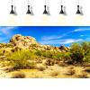 Desert Reptile Tank Background Barrel Cacti at Boulders Terrarium Background Desert Landscape Reptile Terrarium Background Rocky Bush Reptile Habitat Background Bearded Dragon Tank Background 36x18in view 4