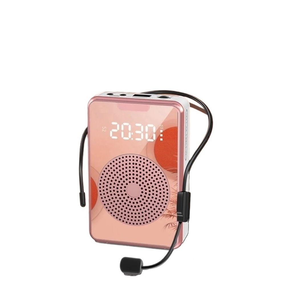 HIONJIN Loudspeaker for Teachers Speech Mini Audio Speaker Portable Voice Amplifier Stereo Sound Microphone(Black-JoJo's Bizarre Adventure1)