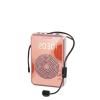 HIONJIN Loudspeaker for Teachers Speech Mini Audio Speaker Portable Voice Amplifier Stereo Sound Microphone(Black-JoJo's Bizarre Adventure1) view 1