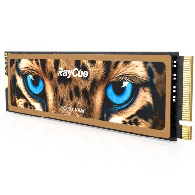 RayCue 2TB NVMe M.2 SSD for PS5 with Heatsink, Up to 7450MB/s, PCIe 4.0 M.2 2280 Gaming SSD, Suitable for PlayStation 5 Memory Expansion, Game Enthusiasts, IT Professionals