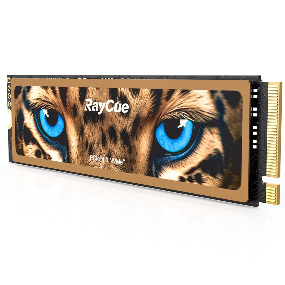 RayCue 2TB NVMe M.2 SSD for PS5 with Heatsink, Up to 7450MB/s, PCIe 4.0 M.2 2280 Gaming SSD, Suitable for PlayStation 5 Memory Expansion, Game Enthusiasts, IT Professionals