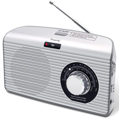 DreamSky Bluetooth Speaker Radio Sleep Timer, Hi-Fi Clear Extra Loud Sound