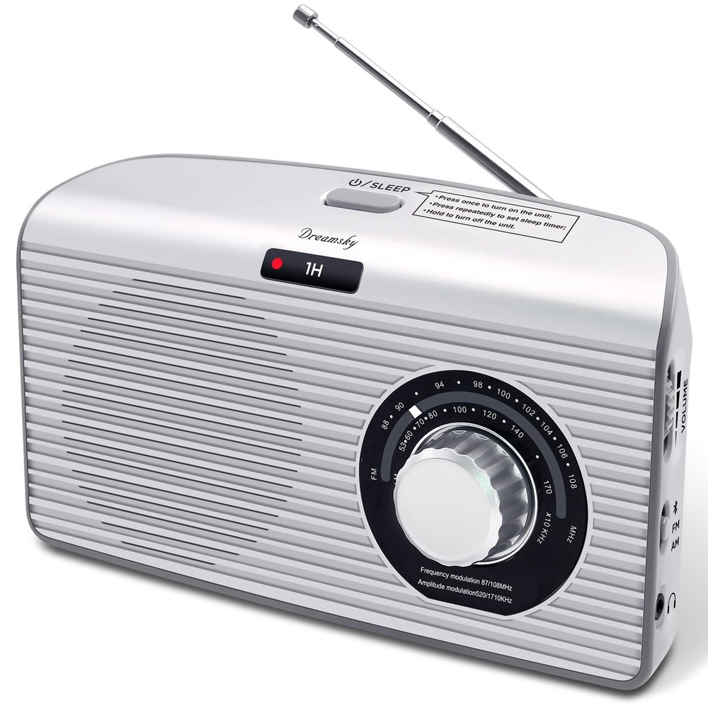 DreamSky Bluetooth Speaker Radio Sleep Timer, Hi-Fi Clear Extra Loud Sound