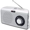 DreamSky Bluetooth Speaker Radio Sleep Timer, Hi-Fi Clear Extra Loud Sound view 1