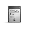 Angelbird AV PRO SE CFexpress B v4 2 TB - CFexpress 4.0 Type B Memory Card - Largest Capacity and Ultra High-Speed - up to 12 K+ RAW Video and Photo view 2