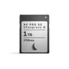 Angelbird AV PRO SE CFexpress B v4 1 TB - CFexpress 4.0 Type B Memory Card - Largest Capacity and Ultra High-Speed - up to 12 K+ RAW Video and Photo view 1