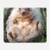 R3863 Pygmy Hedgehog Dwarf Hedgehog Paint Case Cover for MacBook Pro 16 M1,M2,M3,M4 (2021,2024) - A3403, A3186, A2991, A2780, A2485 view 2