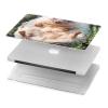 R3863 Pygmy Hedgehog Dwarf Hedgehog Paint Case Cover for MacBook Pro 16 M1,M2,M3,M4 (2021,2024) - A3403, A3186, A2991, A2780, A2485 view 3
