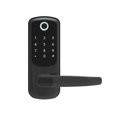 DBGJCV TTLOCK WiFi Electronic Smart Door Lock with Biometric Fingerprint/Password/Smart Card/Key Unlock/USB Emergency Charger(Black)