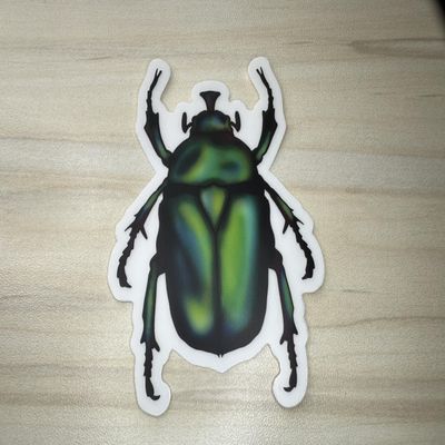 Green Chafer Beetle Vinyl Sticker, Waterproof June Bug Decal, Insect Waterbottle Decor, Entomology Laptop Decoration
