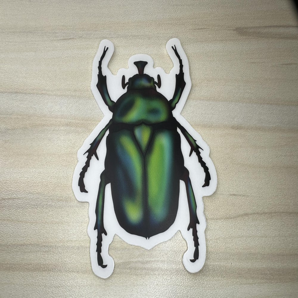 Green Chafer Beetle Vinyl Sticker, Waterproof June Bug Decal, Insect Waterbottle Decor, Entomology Laptop Decoration
