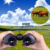 Monocular Telescope, Binoculars with Low Light, Large Eyepiece, Waterproof Wide Angle Binoculars for Bird Watching, Concerts view 3