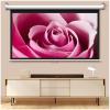 4k HD Projector Screen 16:9 Movie Screen Manual Pull Down Portable Projector for Home Theater Office Meeting Presentations Projection Screen(72in/178cm) view 1
