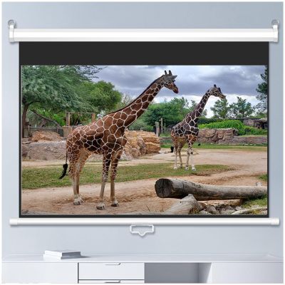 16:9 Manual Projector Screen Movie Screen Anti-Crease Home Theater Office Pull Down Projection Screen Outdoor Portable Projector(72in/167cm)