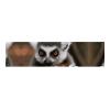 Monkey Lemur Cute Large Party Banner Sign Wall Hanging Backdrop Banner Birthday Party Backdrops For New Year Graduation Wedding Birthday Party Decor 120x30cm view 1