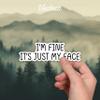 (3Pcs) I'm Fine It's Just My Face Sticker Funny Sarcastic Quotes Inspirational Humorous Anti-Social Vinyl Decal for Tumbler Laptop Kindle Water Bottles Books Phone - Size 3x1 Inch view 2