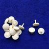 Resin Assembled Model Satellite Antenna with A Diameter of 14MM and A Height of 8MM Simulated Sailing Ship Model Accessories One Piece view 3