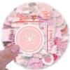 100 PCS Bible Verse Stickers Inspirational Pink Christian Stickers Faith Stickers Bible Scripture Stickers Religious Stickers for Laptop Water Bottle Bumper Luggage Computer Skateboard Snowboard view 2