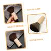 HEMOTON Vinyl Record Brush Record Cleaning Anti-Static Wood Handle for Turntables Musical Instrument Brush view 2