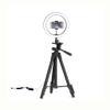 Selfie Led Lamp Light with 43 Inch Tripod Stand Holder Remote Photography Camera Dimmable(26cm-Tripod-Sliver) view 1