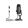 GGGUOJINN Microphone BY-PM500 USB Condenser Desktop Microphone for PC Computer Mobile Phone Singing Gaming Streaming Podcasting Recording Mic Suitable for Anchor, Dubbing Studio, Recording, st view 2