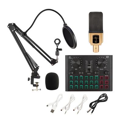 Microphone B01 Professional Condenser Microphone Recording Microphone With Sound Card For Computer Karaoke KTV Tiktok YouTube BM 800 Suitable for anchor, dubbing studio, recording, st ( Color : A )