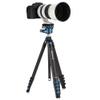 Benro Blackbird Carbon Fiber One Series Tripod with G36PT Inverted Ball Head view 4