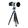 Benro CyanBird Carbon Fiber Tripod Kit  4-Section Travel Tripod with GX36PT Dual-Pan Ball Head, Arca-Swiss Plate & 39.7 lb Load Capacity for DSLR, Mirrorless & Video Cameras (TCBA25G36PT) view 4