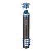 Benro CyanBird Two Series Carbon Fiber Tripod with G36PT Inverted Ball Head view 2