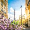 BELECO 17x10ft Fabric Paris Eiffel Tower Backdrop Romantic Paris City View Spring Blooming Flowers Photography Background France Paris Party Decorations Portrait Photoshoot Studio Props view 4