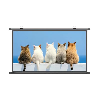 4:3 16:9 Retractable Projector Screen, Manual Pull Down Projector Screen, 4K Full HD, Anti-Crease, for Home Theater Office Game Movie Screen, Projection Screen Black Backing Movie Screen(Black 40",4:3