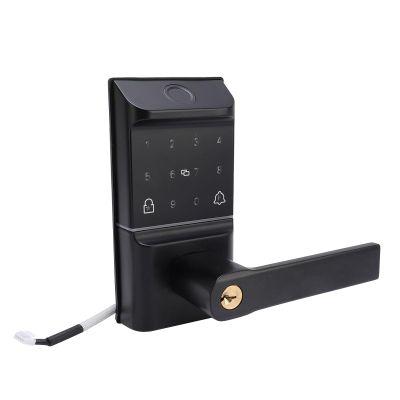 Fingerprint Door Lock and Handle, Smart Keyless 5 in 1 Door Lock with Touch Screen Keyboard, Fingerprint, Card, Key, App