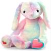 MBHB Digital Voice Recorder Animal w/20 Second Recorder, Dictaphone to Capture Baby's Heartbeat During Pregnancy + Ultrasound, Not a Medical Device, Tiedye Bunny view 1