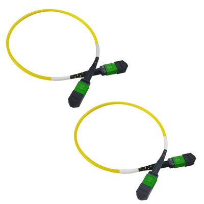 2Pcs 0.3m MPO Fiber Optic Patch Cord, Single Mode Cable Jumper Plug, Female to Female, 12 Core 6 Channel Type B, APC end face, LSZH 3.0mm G657A1, Compatible with 8 Core 4 Channel MPO