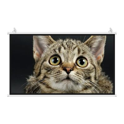 Manual Pull Down Portable Projector Screen, 30-72 Inch Simple Hangable Movie Screen, Anti-Crease, Lightweight Carry & Durable, for Office, Classroom, Home Theater Movie Screen HD Projection Screen(Whi