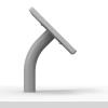VidaMount Light Grey Exposed Rear Camera Enclosure and Fixed Neck Wall/Table Surface Mount [Bundle] Compatible with iPad Pro 11" (M4) view 4