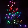 WENWENLEE C9 DC5V DC12V WS2811 50 Pixels/Set Addressable RGB LED Pixel String Light 15cm/20cm/25cm/30cm Spacing White Case White Wire IP68(20cm Spacing 12V,XConnect Pigtails) view 3