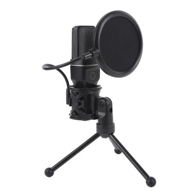 Bewinner USB Microphone,Condenser Computer PC Mic, 2.4G Wireless and Wired Double Mode, Noise Reduction Gaming Microphone with RGB Light Effect or Live Streaming Recording