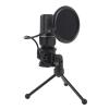 Bewinner USB Microphone,Condenser Computer PC Mic, 2.4G Wireless and Wired Double Mode, Noise Reduction Gaming Microphone with RGB Light Effect or Live Streaming Recording view 1