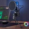 Bewinner USB Microphone,Condenser Computer PC Mic, 2.4G Wireless and Wired Double Mode, Noise Reduction Gaming Microphone with RGB Light Effect or Live Streaming Recording view 3