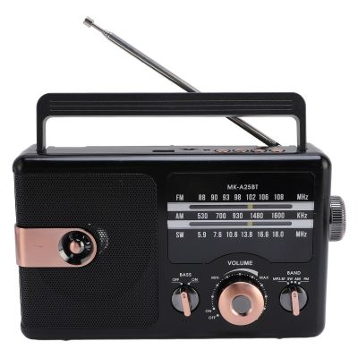 Radios Portable AM FM, Full Band Portable Radio BT Speaker with Storage Memory Card, Multifunctional Music Player (Black)