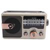 Radios Portable AM FM, Full Band Portable Radio BT Speaker with Storage Memory Card, Multifunctional Music Player (Gold) view 3