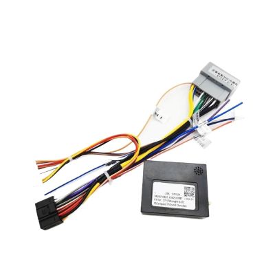 16-Pin to 22-Pin Cable with Radio Wiring Harness Adapter and CAN Bus Decoder - Compatible with Jeep Grand Cherokee, Compass, Wrangler, Chrysler 300C