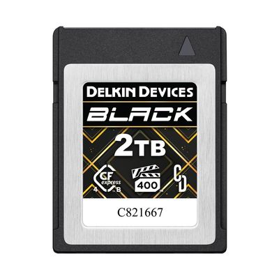 Delkin Devices Black 2TB CFexpress Type B 4.0 VPG400 Memory Card  High-Speed Performance for Professional Photography & Videography (2TB)