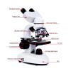 Baxnore Binocular Microscope Kit, 40X5000X 360 Rotation Clear Image Binocular Microscope, Laboratory Binocular Microscope for Inspection Laboratory view 2