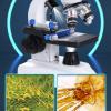Baxnore Binocular Microscope Kit, 40X5000X 360 Rotation Clear Image Binocular Microscope, Laboratory Binocular Microscope for Inspection Laboratory view 4