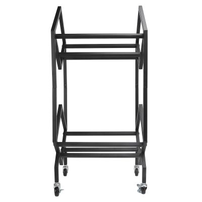 Carbon Steel 2 Tier Record Storage Rack, Albums Storage Shelf for Music Records Books Magazines CDs Display Organizer