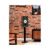 triangle Borea BR04 Bookshelf Speakers Pair - High Fidelity - 2-Way - 25mm EFS Silk Dome Tweeter with Waveguide (Oak Green) view 2